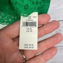 Aerie  Eyelash Lace Padded Bralette Green Size XL Photo 5