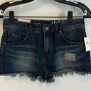 Volcom  High Waisted Denim Cut Off Shorts Photo 0