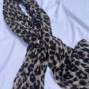 Ann Taylor Cheetah Print Scarf Photo 1