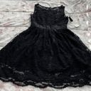 BB Dakota NWT  Black Lace Fit & Flare Lined Mini Dress, size 2 Photo 0