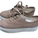 ALLSAINTS  Bella Suede Low Top Sneaker In Pink Photo 8