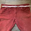 Patagonia  Brick Red Straight Leg Corduroy Pants 32 Photo 3