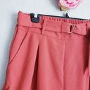 Abound  Burnt Orange High Waisted Belted Pull On Shorts Photo 2