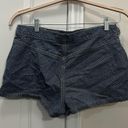 Polo  Jeans Company Ralph Lauren Navy Blue Uniform Basics Striped Shorts Size 8 Photo 2