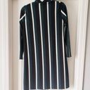 Mango Green, Black, and White Striped Long Sleeve Dress Photo 4