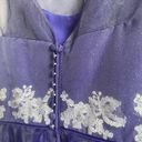 Disney  Fairytale Weddings Purple Tulle Embroidered Dress Princess Fairycore Photo 8