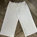 Liz Claiborne  Dress Pants Pleated Wide-Leg Womens Sz 16W White Stretch Waist Tie Photo 0