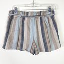 Purple Snow  Tan & Blue Striped Paperbag Belted Tie Waist Shorts Size L Photo 1