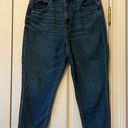 American Eagle Mom Jeans in Medium Vintage Wash Size 14 Extra Short Photo 0