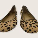 Ann Taylor Cheetah Animal Calf Hair Leather Ballet Flats 7.5 Photo 1