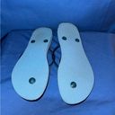 Havaianas NWOT  Size 9/10 Blue Tropical Flip Flops Photo 4