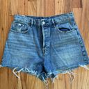 PacSun High Rise Icon Short Photo 0