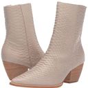 Matisse Footwear CATY ANKLE BOOT Photo 0