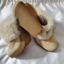 Hunter heel clogs Photo 1