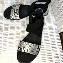 Sorel Women's Ella II Sandal size 7 Photo 0
