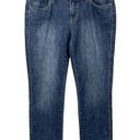 prAna  Honour Boyfriend Jeans Size 28 / 6 Photo 0