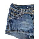 Celebrity Pink Y2K Style  Jean Shorts Denim Summer Vacation Beach Coastal Classic Photo 3