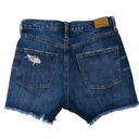 American Eagle  '90s Boyfriend Short Ripped Denim Jean Shorts Size 2 Photo 1