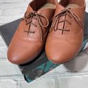 Lower East Side  Oxford in Cognac Tan Photo 4