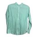 Everlane  The Oxford Mint Green White Stripe Shirt Photo 1