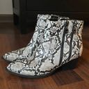 Guess GBG  Snake Print Booties Photo 2