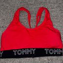 Tommy Hilfiger Bra Photo 0