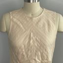 Rebecca Taylor Cream Textured Stripe Peplum Top- Size 2- NWT Photo 3