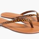 J.Crew  Cheetah Print Easy Summer Flip Flop Sandals Photo 0