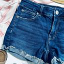 American Eagle  Super Stretch Dark Wash Shortie Denim Shorts Photo 1