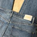 EXPRESS New!  High Waisted Medium Wash Straight Ankle Blue Jeans 10 S 10S Short Photo 5