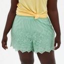 Torrid  Embroidered Lace Scalloped Pull On Shorts Elastic Waist Seafoam Boho M Photo 1