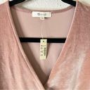 Madewell  Blush Pink Velvet Long Sleeve Bodysuit NEW Size XS Photo 2