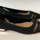 ALDO NWOT  Pointed Toe Ballerinas With Laser Cut Sz 6M Photo 0