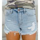 Pink Lily  go anywhere shorts size L Photo 0