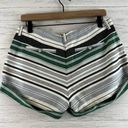 Joie  Striped Linen Blend Shorts Size 4 Photo 1