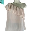 Rebecca Taylor  One Shoulder Ruffle Silk Top Misty Pink Size 12 Photo 1