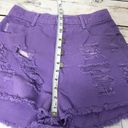 Bongo 🌴 Vintage High Rise Ripped Purple Shorts Photo 7