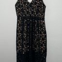 Entro Black and Tan Lace Spaghetti Strap Midi Dress Photo 0