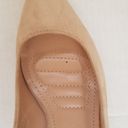 Bella Marie  Light Taupe Suede Pointy High Heel Photo 6