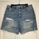 American Eagle Baggy Mom Short Photo 0