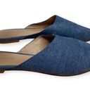 Madewell  Remi Mules in Blue Stamped Lizard leather women’s size 9.5 US Photo 4