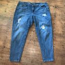 Lane Bryant  boyfriend fit 22 distressed gold patch normcore jeans Photo 0