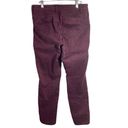 Dress Barn  Straight Leg Jeans Womens Size 10 Purple Stretch Pants Mid Rise Photo 4