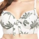 Cacique  Beige Green Palm Longline Underwire Swim Bikini Top Plus Sz 42F NEW Tags Photo 1