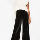 The Loft NWT Women's Medium Wide-Leg Velour Black Pull-On Pants Photo 0