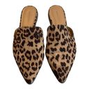 Banana Republic  Factory Cheetah Slide Mules Photo 1