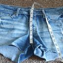 BKE Sabrina raw hem jean shorts size 31 Photo 10