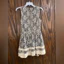 Alya  Lace zip back dress S Photo 8