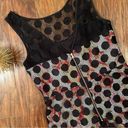 Betsey Johnson  Polka Dot Illusion Skater Dress Floral Size 6 Photo 6