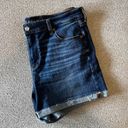 American Eagle Outfitters Jean Shorts Photo 1